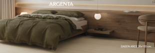 Керамогранит Argenta Ceramica Dagen Arce мат. рект. (20х120) матовый